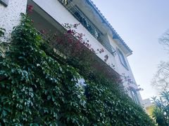 -彳亍咖啡·这里(水湾路店)