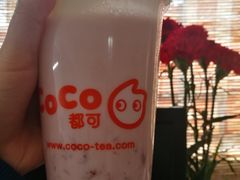 -CoCo都可(北新桥店)