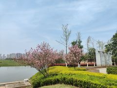 -洋湖国家湿地公园