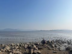 -深圳湾公园(南山区)