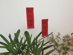 -团子君寿司·茶