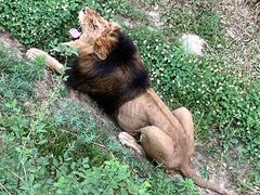 -石家庄市动物园