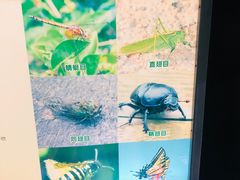 -上海昆虫博物馆