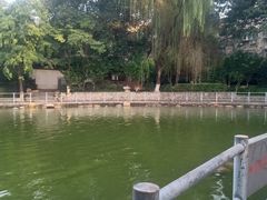 -莲湖公园
