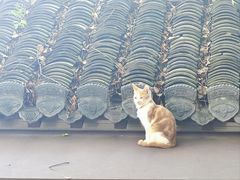 -狼山风景名胜区