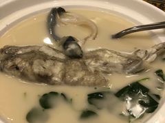-肆月河豚·新淮扬(金融街店)