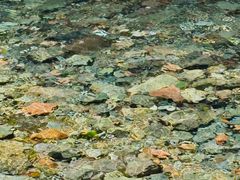 -西岭雪山大飞水景区