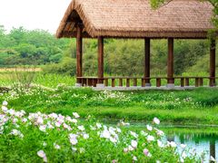 -良渚古城遗址公园