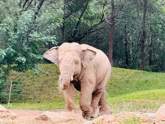 -北京野生动物园
