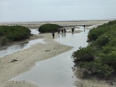 -北海金海湾红树林生态旅游区