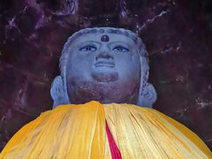 -白水寺森林公园