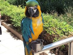 -南戴河国际娱乐中心