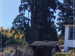 -云中大漈