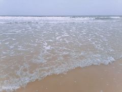 -日照海滨国家森林公园