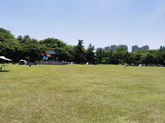 -青枫公园