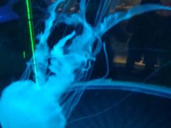 -无锡海洋馆
