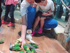 -昆明大悦城未来动物城(螺蛳湾中心店)