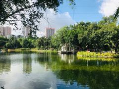 -晓港公园