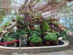 -石家庄市植物园
