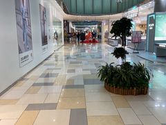-鹏欣水游城