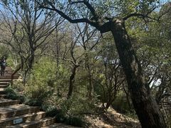 -杭州半山国家森林公园