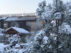 -白桦林温泉谷