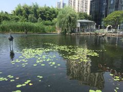 -苏州河梦清园环保主题公园