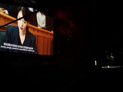 -枫花园汽车电影院(朝阳公园店)