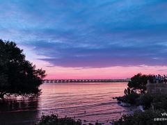 -宝安西湾红树林湿地公园