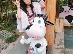 -郑州银基黄帝宫御温泉