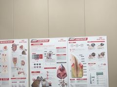 -四月宠物医院·猫专科·心脏专科·内科(转塘店)