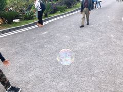 -枫香湖儿童公园