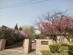 -甘井子公园