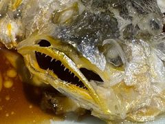 -船歌·鱼水饺青岛菜(金狮广场店)