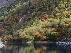 -叠溪松坪沟景区