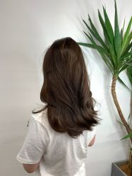 -Y-STUDIO原理