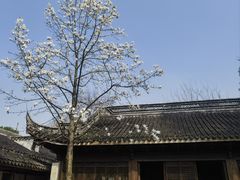 -惠山古镇·寄畅园