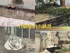 -无锡动物园·太湖欢乐园