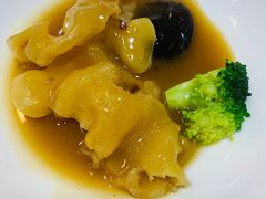 -凤城礼记鱼翅海鲜酒家(新马路总店)