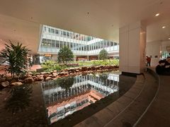 -香港大学