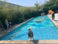 -汪说喵讲宠物乐园宠物酒店(红星美凯龙店)