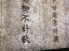-印象普陀