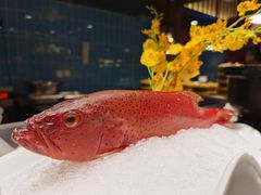 -淡尾·海鲜自助概念餐厅(虹桥南丰城店)