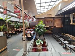-单家老院·院子里的青岛菜