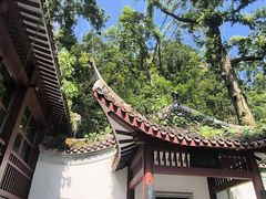 -岳麓山风景名胜区