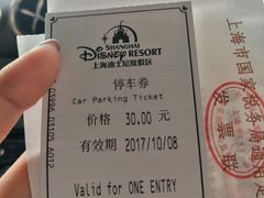 -迪士尼乐园停车场