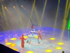 -重庆国际马戏城