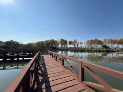 -金银湖国家城市湿地公园