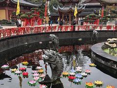 -上海东林寺(金山区)