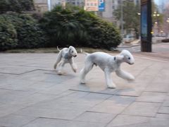 -重庆市江北嘴中央商务区中央公园